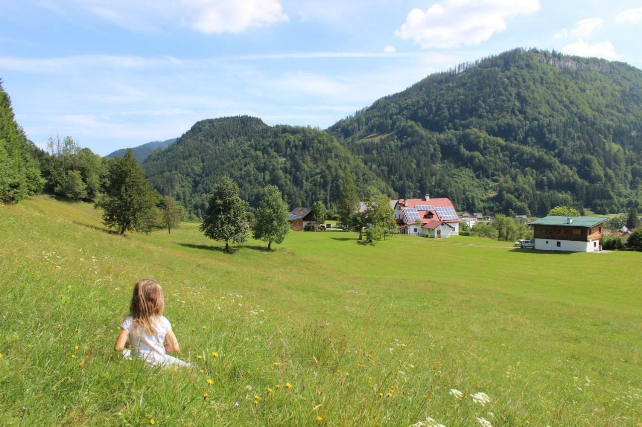Ferienhof Kirchau Goestling an der Ybbs Ngoại thất bức ảnh